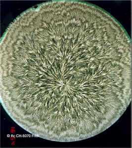 stacks_image_5384E3A2-185B-4E00-B540-FFAB4F403C26