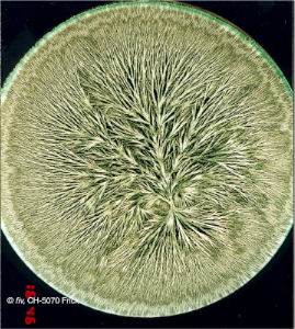 stacks_image_33B52B63-E5BA-454A-AD03-B676FDA8CE9F