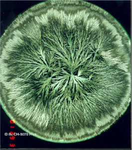 stacks_image_FF1E77D0-817F-4B92-B097-BD11895869EB